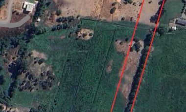 Preciosa parcela 1 hectárea en Linares