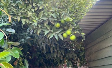 Casa en Venta en Peñalolén – Amplio Terreno de 234 m² en Sector Residencial