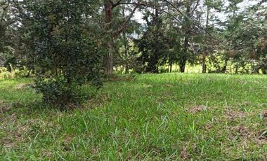 lote independiente en venta el retiro antioquia