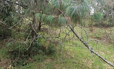 lote independiente en venta el retiro antioquia