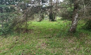 lote independiente en venta el retiro antioquia