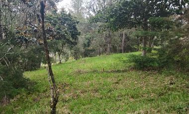 lote independiente en venta el retiro antioquia