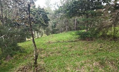 lote independiente en venta el retiro antioquia