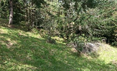 lote independiente en venta el retiro antioquia