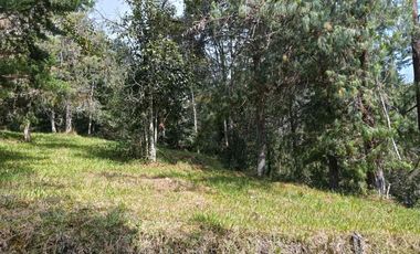 lote independiente en venta el retiro antioquia