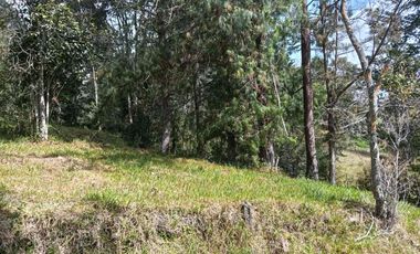 lote independiente en venta el retiro antioquia