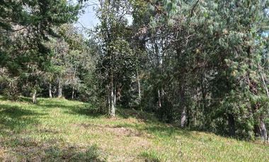 lote independiente en venta el retiro antioquia