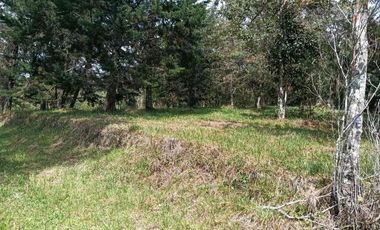 lote independiente en venta el retiro antioquia