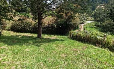 lote independiente en venta el retiro antioquia