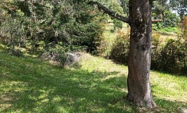 lote independiente en venta el retiro antioquia