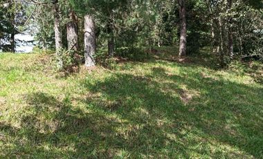 lote independiente en venta el retiro antioquia