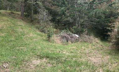 lote independiente en venta el retiro antioquia