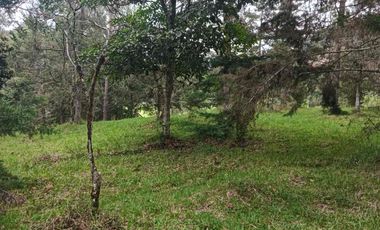 lote independiente en venta el retiro antioquia
