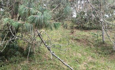 lote independiente en venta el retiro antioquia