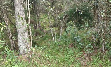 lote independiente en venta el retiro antioquia