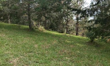 lote independiente en venta el retiro antioquia