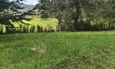 lote independiente en venta el retiro antioquia