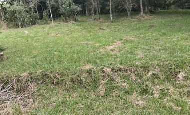 lote independiente en venta el retiro antioquia