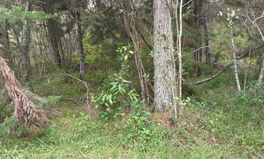 lote independiente en venta el retiro antioquia