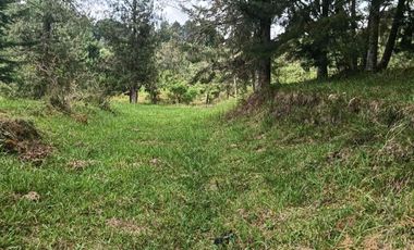 lote independiente en venta el retiro antioquia