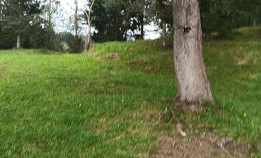 lote independiente en venta el retiro antioquia