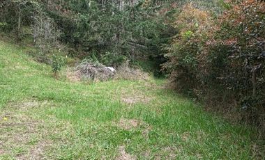 lote independiente en venta el retiro antioquia