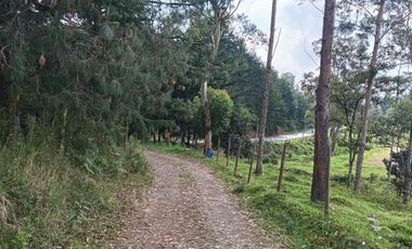 lote independiente en venta el retiro antioquia