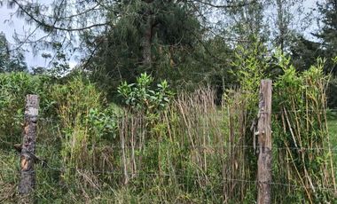 lote independiente en venta el retiro antioquia