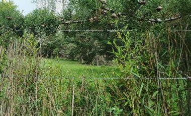 lote independiente en venta el retiro antioquia