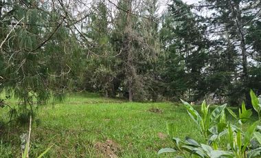 lote independiente en venta el retiro antioquia