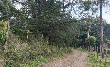 lote independiente en venta el retiro antioquia