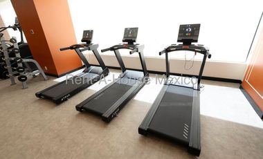 Departamento en Renta | San Rafael (Nomad Jardín Reforma) | 2 Rec. | 78 m² | CW26-1349