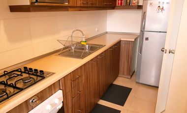 Departamento en Puerto Varas / Plaza Brintrup