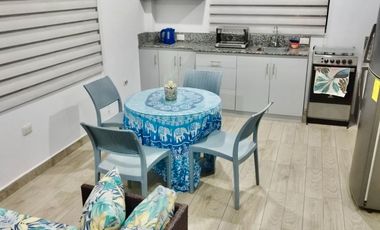 BALLENITA CON VISTA AL MAR ALQUILO SUITE