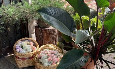 Ceibos, Renta de Local en Casa Para Eventos