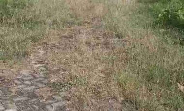 RUMAH MURAH DI MADIUN