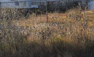 Terreno en RENTA zona de Huejotzingo Puebla
