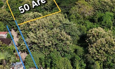 FOR SALE – LAHAN 50 ARE DI PECATU