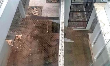 Dijual 2 Rumah Sekaligus di Resort Dago Pakar dengan total LT 635 dan total LB 1200