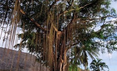 Land 13 are + House 160 sq.m — Kuta Center  | Direct Owner