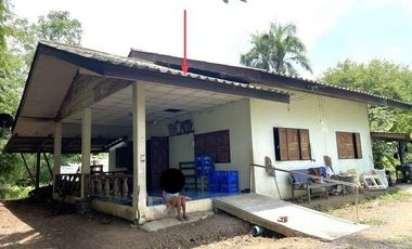 J12310 ขายบ้านเดี่ยว ตำบลเทพนิมิต อำเภอ บึงสามัคคี กำแพงเพชร