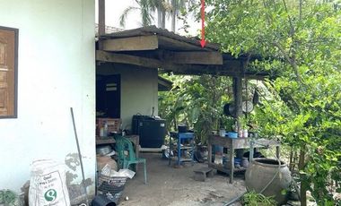 J12310 ขายบ้านเดี่ยว ตำบลเทพนิมิต อำเภอ บึงสามัคคี กำแพงเพชร