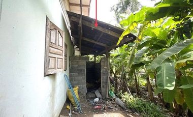J12310 ขายบ้านเดี่ยว ตำบลเทพนิมิต อำเภอ บึงสามัคคี กำแพงเพชร