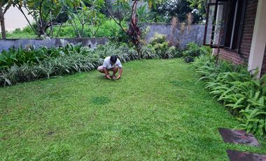 DIJUAL  Rumah & Tempat Usaha Yang Asri di Jl. Saladara/Perjuangan (dkt area kampus) Majasem - Cirebon