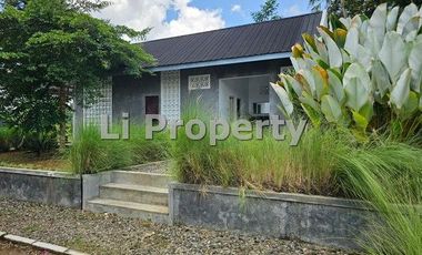 Tuntang, dekat Salatiga, kabupaten Semarang, view gunung, Jawa Tengah