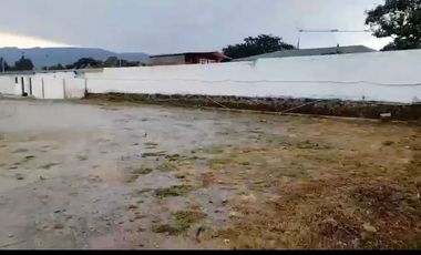 Renta de Terreno con Casa, Sector Tumbaco, Ecuador