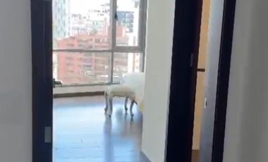 Renta de Departamento Amoblado de 3 dormitorios, Sector Bellavista, Quito, Ecuador