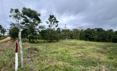 Terreno en Venta - Vía Nueva Aurora - Pedro Vicente Maldonado