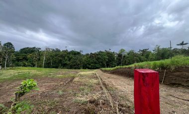 Terreno en Venta - Vía Nueva Aurora - Pedro Vicente Maldonado