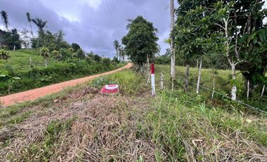 Terreno en Venta - Vía Nueva Aurora - Pedro Vicente Maldonado